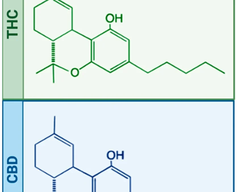 Cannabis Dosing & Product Guide: Finding What Works for You