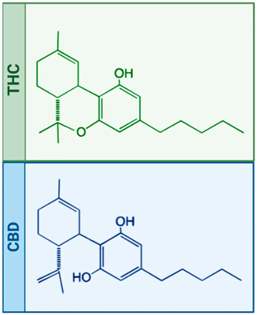 Cannabis Dosing & Product Guide: Finding What Works for You